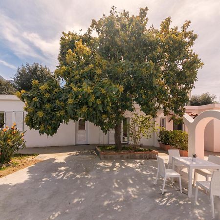 Casa Yucca Villa Forio di Ischia Eksteriør billede