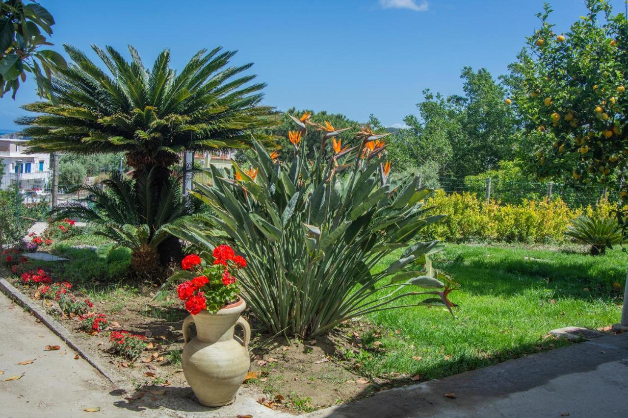 Casa Yucca Villa Forio di Ischia Eksteriør billede