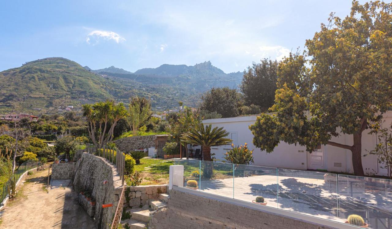 Casa Yucca Villa Forio di Ischia Eksteriør billede