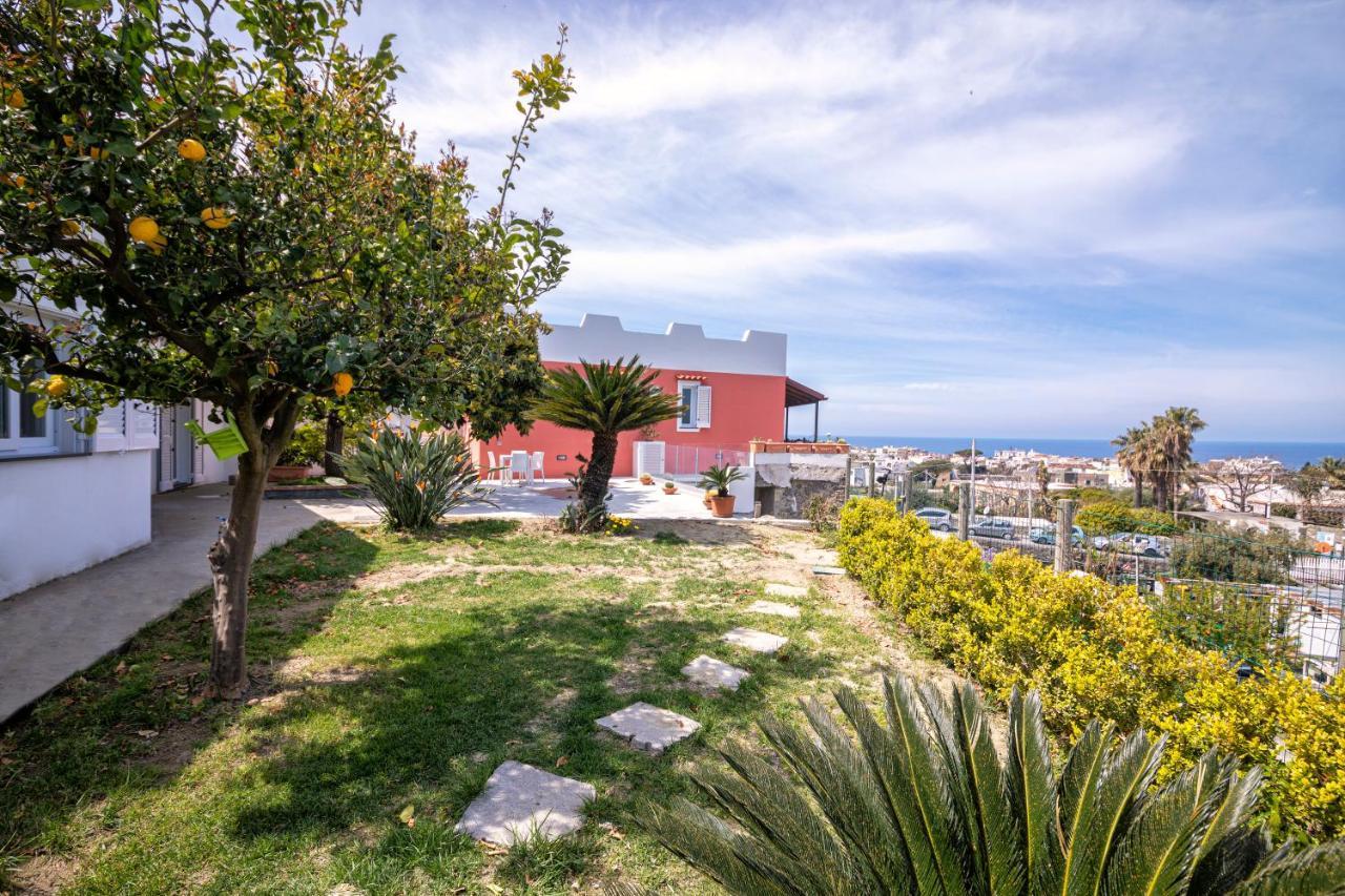 Casa Yucca Villa Forio di Ischia Eksteriør billede